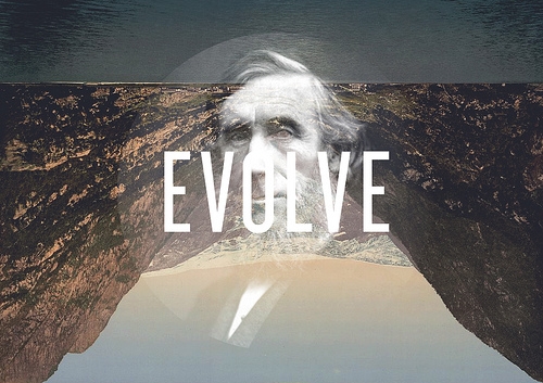 41_35873443696407ec079d