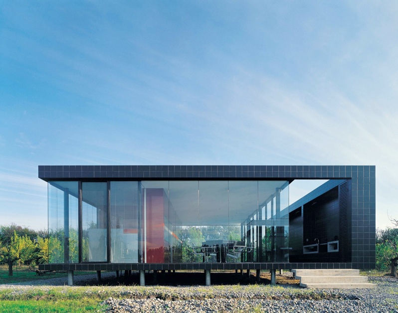 Assadi_20x20 06 copy